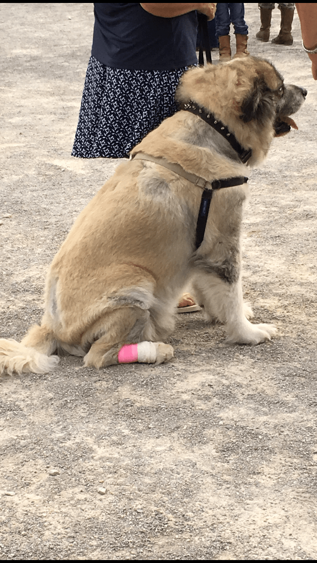 75ABB7F1-9F7A-4BD3-AB9B-A3E552758600